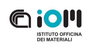 IOM Logo